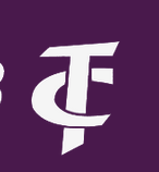 Terence Int`l Inc. Logo